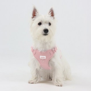 왈츠 하네스 + 리드줄세트 앞섬방지 H형, 핑크, 1개