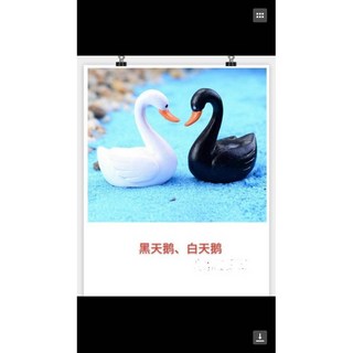 邦邦水族 黑白天鵝 居家裝飾 微景觀袖珍屋 水族造景 園藝盆栽花插 拍照背景裝飾品 公仔食玩模型 療癒禮物擺飾, 1個, 黑白天鵝一對