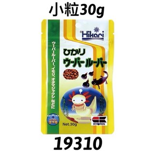 Hikari 高夠力 六角恐龍飼料 大粒 小粒 30g 沉水性 沈底飼料 底棲肉食 狗頭飼料, 1個, 高夠力/六角恐龍飼料/小粒30克