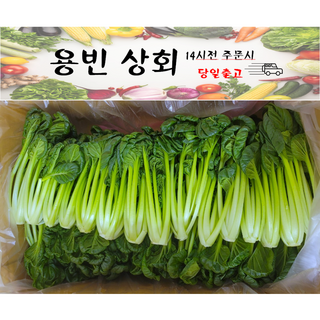 ( 용빈 상회 ) 국내산 비타민 다채 비타민채 비타민채소 이유식 2kg 4kg내외, 1박스