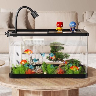 어항 수족관 어항세트 투명 열대어 물고기 키우기, 블랙