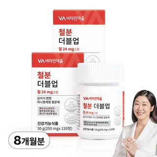 비타민마을 철분 더블업 미니 정제형 철분제, 120정, 2개