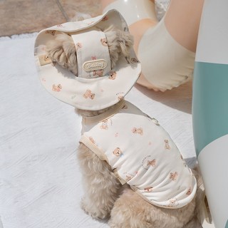 베일리펫 강아지 해충방지옷 착용샷