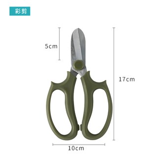 花藝彩色剪刀園藝家用工具花園修理植物省力修枝剪不銹鋼插花花剪, 1個, 军绿色剪刀