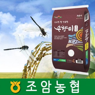 2025년햅쌀/ 수향미 10kg 조암농협/ 화성시브랜드, 1개, 상등급