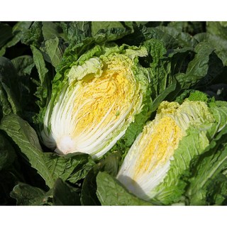 신선하고 아삭한 절임배추, 영월 절임배추 필수추가사항에 희망도착일 입력해주세요, 1개, 20kg