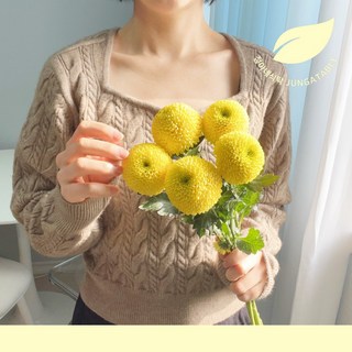 정아네식탁 퐁퐁소국 5송이 생화 꽃다발 택배 예약, 진한색 퐁퐁소국 5송이 / 포장추가, 1개