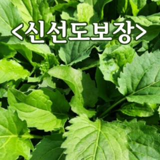 [대형마트납품용] 신선도보장 한정수량 국산 취나물, 1박스, 2kg