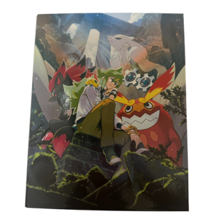 Pokemon 寶可夢集換式卡牌遊戲-N的卡冊 精美照片收藏相簿, N的集換式卡牌收藏冊, 1片