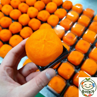 [설 특별행사] 최상급 청도 반건시 곶감 선물세트, 15개, 1박스 특대과