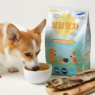 더보양 보양황차 강아지 고양이 마시는 보약 천연 영양제, 황태, 40ml, 30개