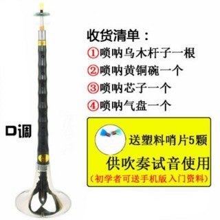 嗩吶樂器全套初學者D調成人大嗦吶小鎖喇專業鑠吶民族中號吹奏喇叭, 出廠標配套餐（黑檀烏木）, 1個