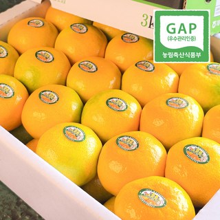 불로초 감귤 초고당도 명품 제주귤 [우월한농수산], 1개, 1.5kg