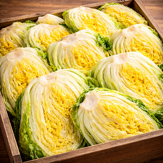 너무 맛있고 깨끗한 국내산 괴산 절임배추, 최대한 빠른날짜, 1개, 20kg