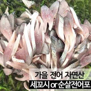 가을 전어회 세꼬시 전어포 1kg 손질후 산지직송 [진도장모와 서울큰사위], 세꼬시 전어회 1kg (손질후 600g 내외), 1개