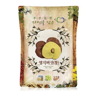 푸른들판 국내산 말린 영지 버섯, 500g, 1개