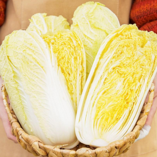 전라도청년 프레시 국산 알배기 배추 쌈배추 특품, 2개, 800g