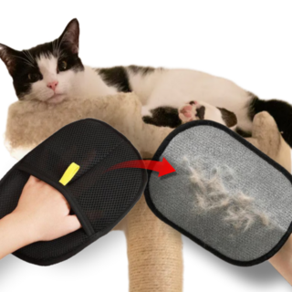 펫밈랩 고양이 털제거 털쓱싹 브러쉬 장갑, 블랙, 1개