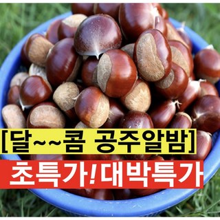 자이언트농산 국내산 공주밤 정안밤 약단밤 군밤용밤, 1박스, 2kg