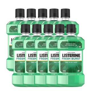 리스테린 세균억제 구강청결제 후레쉬버스트250ml, 250ml, 10개