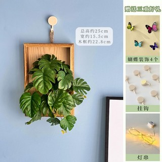 다꾸 인스타 인스타 스토리 몰래보기 다꾸스티커 공룡스티커 스티커북 인스타그램 미즈노인스파이, Q. 1개의 흰색 장미 벽걸이후크 조명 끈 나