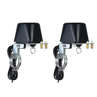 Tuya ZigBee 스마트 무선 제어 가스 수도 밸브 홈 자동화 Alexa Google Assistant와 함께 작동, 2) 2pcs  Zigbee EU Plug, 02 2pcs  Zigbee EU Plug