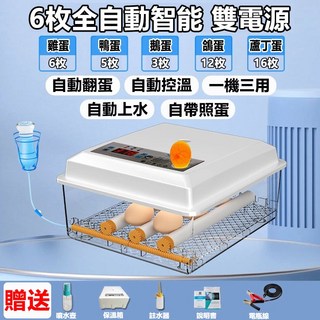 36枚全自動智能雙電源孵蛋機，雞鴨鵝鳥類通用，自動翻蛋控溫，帶照蛋功能, 1個, 6枚-自動翻蛋-自動控溫-雙電源-附大禮包