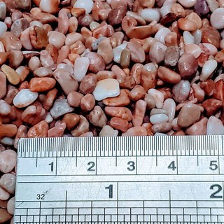 珊瑚紅玫瑰石 栽石 魚缸底沙石 天然石頭 庭園造景 盆栽 水族箱裝飾 水族石頭 盆栽小石頭 石頭 石 多肉 園藝裝飾, 1個, 20公斤(只能宅配寄送)