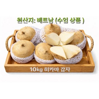 달콤아삭 히카마 멕시코감자 생식 샐러드용 뿌리채소 ( 벳한 무역 ), 1박스, 10kg