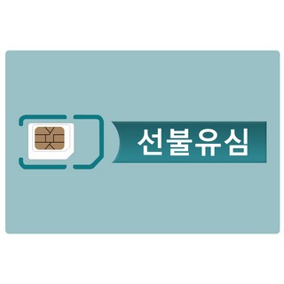 USIM 칩 선불유심 SK KT LG 편의점 유심 연체폰 통신체납 데이터 알뜰유심, 1개, 무제한, 30일