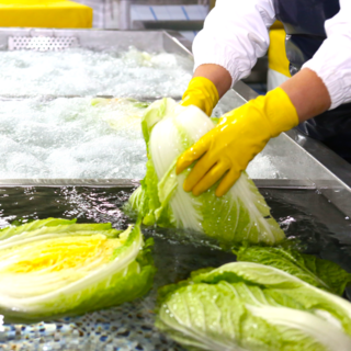 [김장특가!!] NO마진!! 해남 해풍 절임배추, 설정, 1박스, 10kg