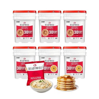 ReadyWise 레디와이즈 비상 식량 공급품 3개월 유통기한 최대 25년 재난 생존 캠핑 하이킹 관세포함, 3 Months, 1개