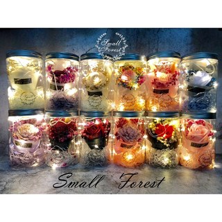 乾燥花燈瓶 太陽玫瑰 滿天星 花束 禮物 擺飾 情人節 生日 畢業 乾花大牙, 燈串加購