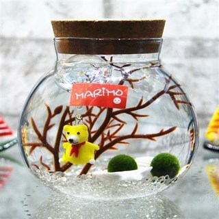 海藻球水培植物微景觀生態瓶苔蘚盆栽玻璃瓶 (包郵), 小熊帶燈（水晶 2歲2顆）, 1個