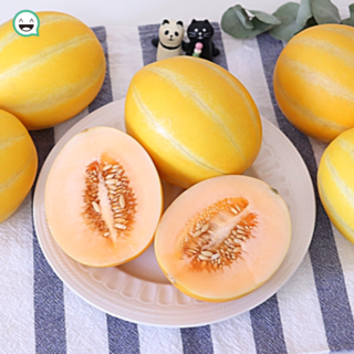 성주 베타카로틴 꿀참외, 2KG