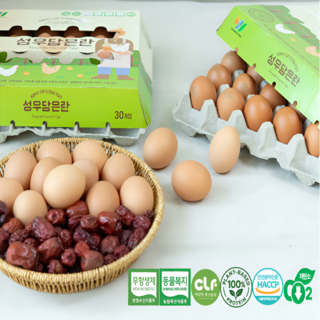 [성우담은란] 동물복지 무항생제 당일산란 100퍼센트 식물성 단백질 사료와 대추를 급이한 유정란 (특란), 1박스, 30구