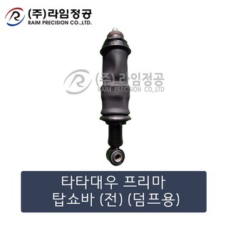 타타대우 프리마 탑쇼바 (전)/라임정공