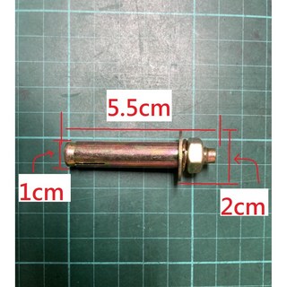 永松柚木行 清庫存套管式壁虎膨脹螺絲組 多尺寸可選 水泥牆/磚牆適用 居家修繕必備