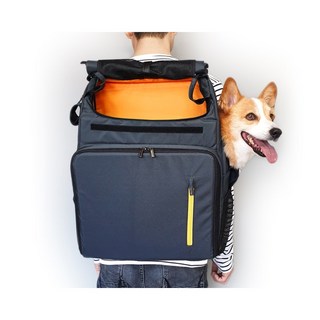 인사이드독앤캣 L백팩 - 그레이옐로우