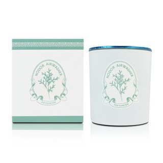 노도르 에어워셔 고체 탈취제 피톤치드향, 1개, 250g