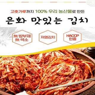 은화 맛있는 국산 김장 배추 총각 김치 1kg 2kg 3kg, 깍두기, 5kg, 1개