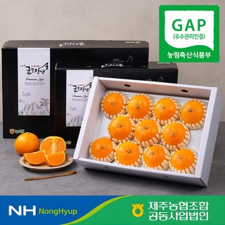 [명절특가]제주농협 천혜향 과일선물세트 보자기포장, 1개, 3kg (보자기포장)