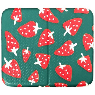 토탈하우스 딸기방석 사우나방석 접이식방석 목욕방석 휴대용방석 1인용 쿠션방석 다용도미니매트, 그린