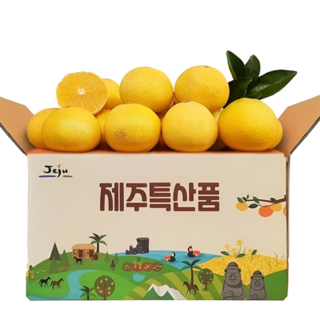 [최저가도전] 고당도보장 제주 농장직송 황금향, 1박스, 5kg (랜덤과 못난이)