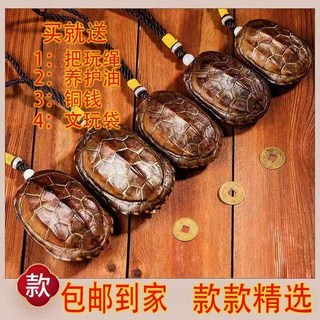 全天然龜甲 文玩龜甲 完整乾淨 真龜殼 手把件 金錢龜殼擺件, 高品搖卦款：中華草龜（12-14）