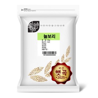 잡곡다움 국산 늘보리 겉보리 꽁보리쌀, 1개, 10kg