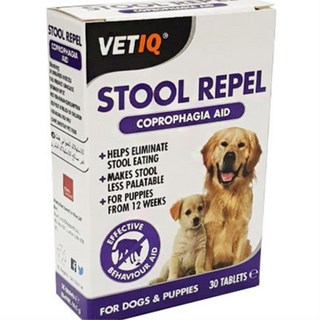 똥먹는 강아지 행동교정 비타민 영양제 개건강보조제 건강한간식