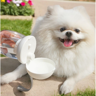 휴대용 반려동물 물병 강아지 이동식 외출용 애견산책 물 공급기, 1개, 화이트 버섯모양 300ml