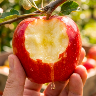 [득템찬스] 과즙팡팡 못나도 맛있는 못난이사과, 1박스, 3kg