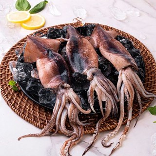 수산천하 더 커진 국내산 손질 통오징어 10미, 10개